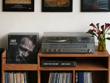 fabriquer rangement vinyle diy