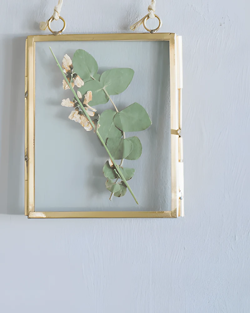 Cadre en verre doré suspendu présentant une branche d'eucalyptus et des fleurs séchées