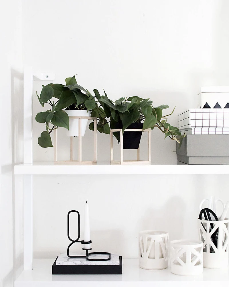 Petits supports de pots en bois posés sur une étagère blanche avec des plantes vertes