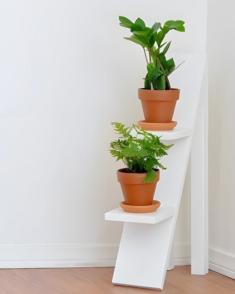 Étagère à plantes en gradins en bois blanc avec petites plantes en pots