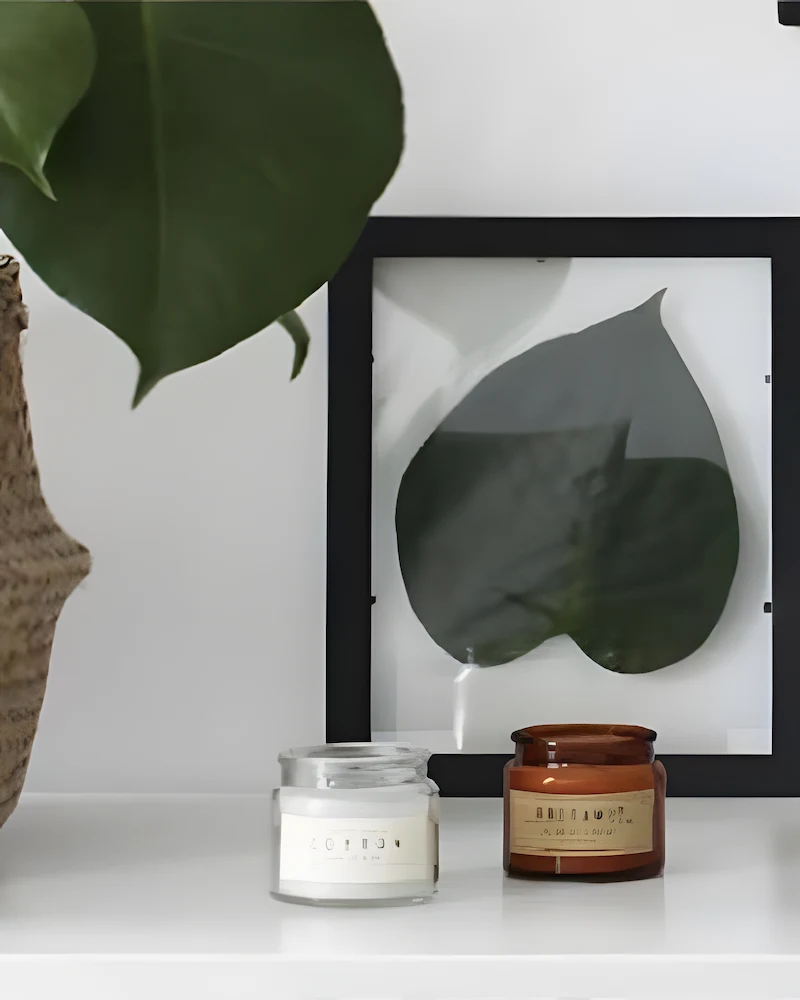 Cadres noirs en verre présentant de grandes feuilles pressées à côté de plantes