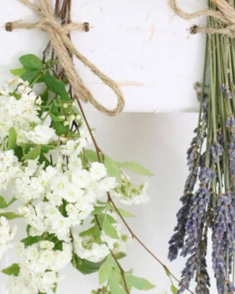 Bouquets de fleurs séchées suspendus à une planche en bois