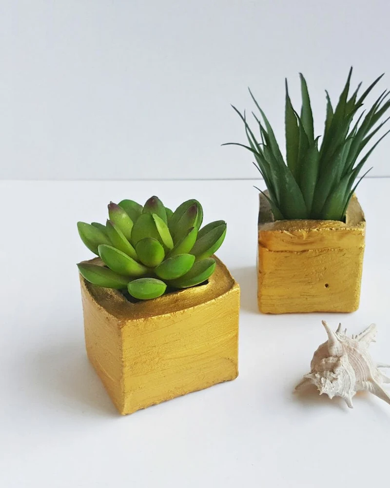 Petits pots en béton peints en doré avec des succulentes