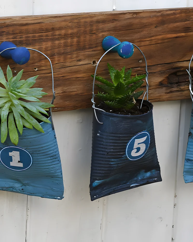 Canettes aplaties et peintes suspendues à une planche avec des succulentes