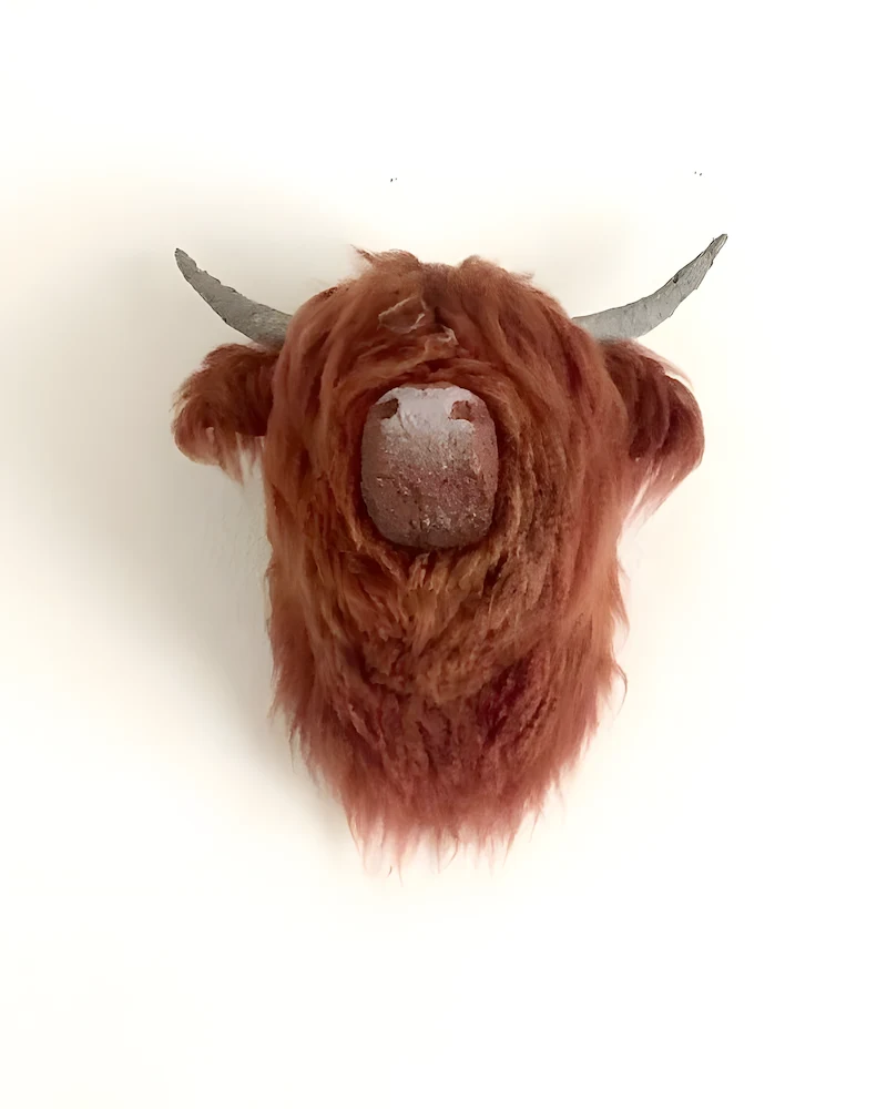 Tête de vache highland en papier mâché couverte de laine rousse