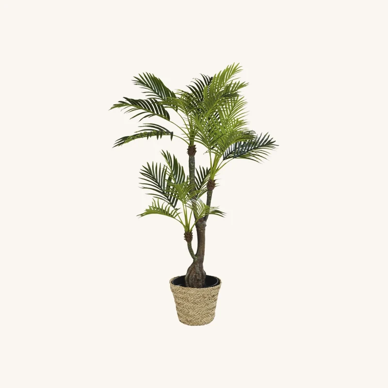Plante artificielle et pot en jonc de mer chez Maisons du Monde