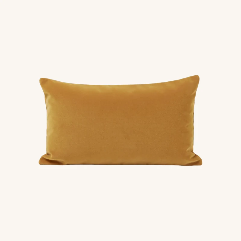 Housse de coussin rectangulaire en velours mat chez The Cool Republic